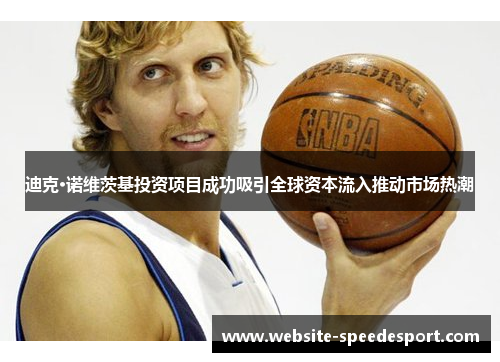 迪克·诺维茨基投资项目成功吸引全球资本流入推动市场热潮