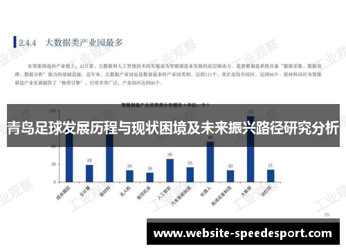 青岛足球发展历程与现状困境及未来振兴路径研究分析 青岛足球发展历程与现状困境及未来振兴路径研究分析